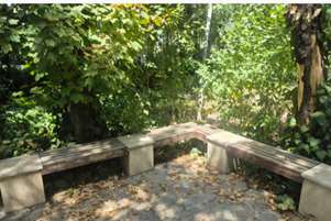 تکمیل پروژه احیا و رنگ‌آمیزی صندلی‌های چوبی محوطه آبنمای دانشکده پیراپزشکی شیراز