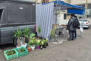 نمایشگاه گل و گیاه و محصولات خانگی در دانشکده پیراپزشکی 