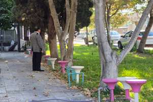 نوسازی و رنگ آمیزی محوطه دانشکده پیراپزشکی شیراز با نظارت معاون پشتیبانی