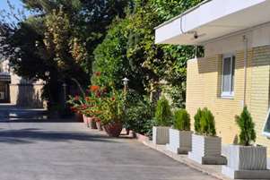 زیباسازی ورودی دانشکده پیراپزشکی شیراز با کاشت نهال‌های سرو کامیس و خرید گلدان‌های جدید