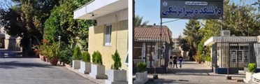 آغاز فصل نوین در دانشکده پیراپزشکی شیراز؛ ارتقای کیفیت آموزشی و زیباسازی محیطی در دستور کار مدیریت جدید